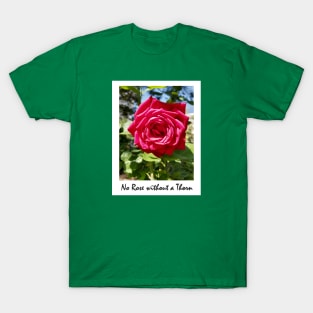 No Rose without a Thorn T-Shirt